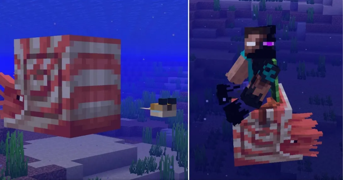 5 интересных фактов о наутилусе в Minecraft